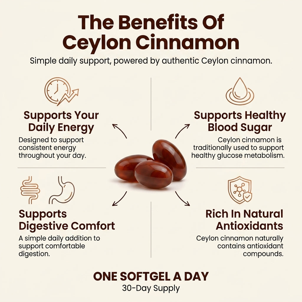 Ceylon Cinnamon 7200mg Equivalent with MCT Oil
